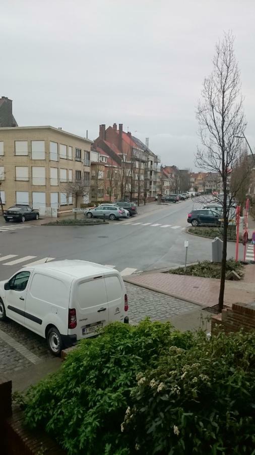 Soucis Au Vent De Panne